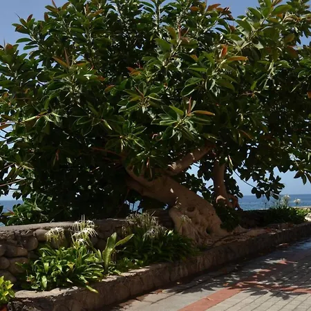 La Casa Grande Tatil Evi